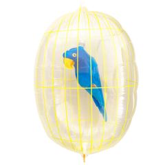 Μπαλόνια παπαγάλος σε κλουβί διάφανο insider 48cm